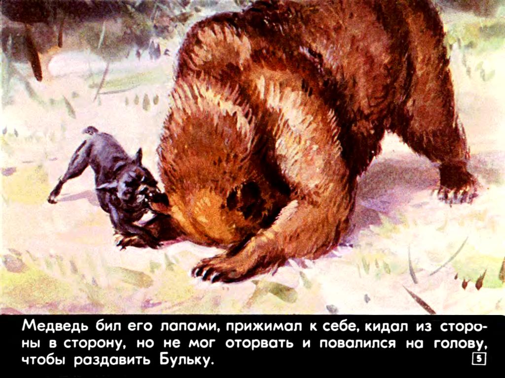 Булька Лев Толстой Картинки
