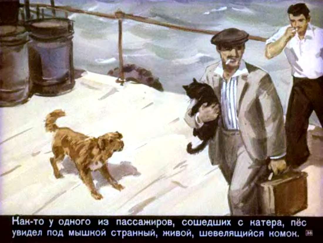 С.Полетаев. Историческая собака