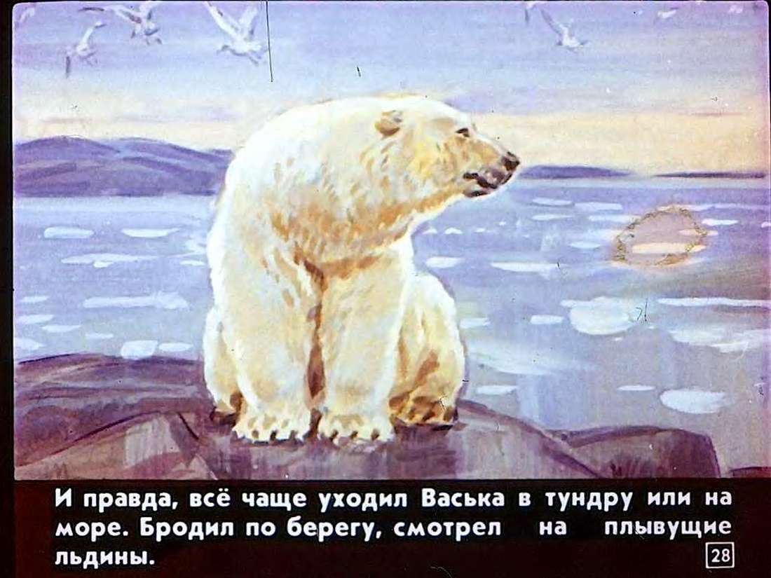 Н.Осипова. Медвежонок Васька