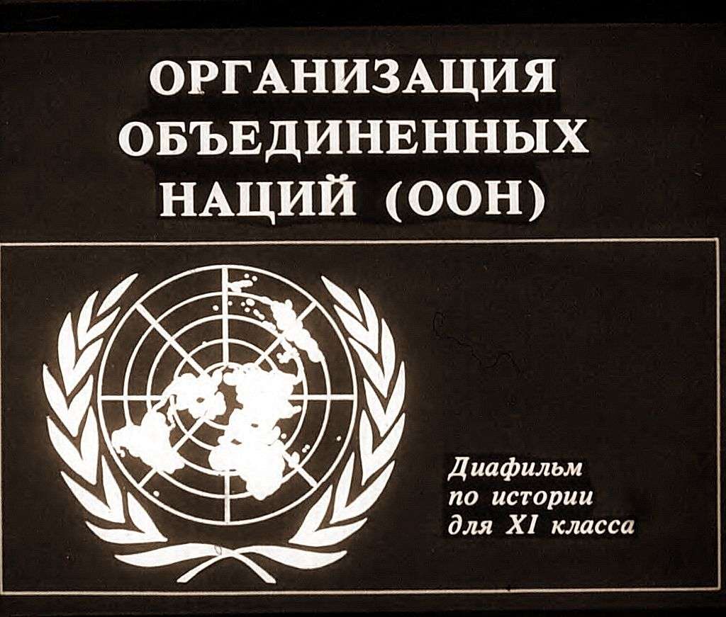 Организация объединённых наций (ООН)