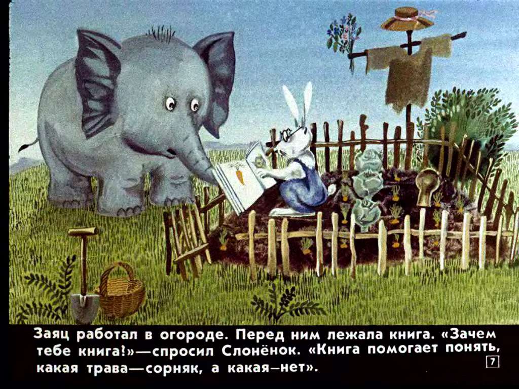 В.Лунин. Слонёнок и письмо