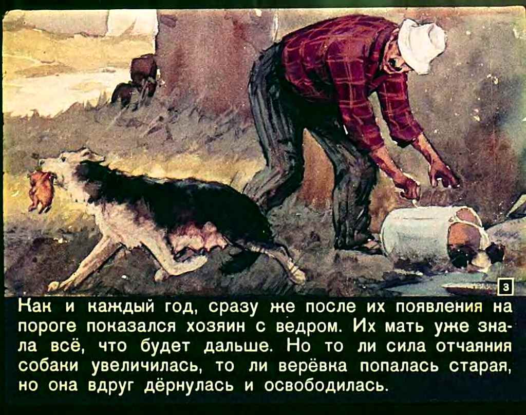 Ф.Кнорре. Солёный пёс
