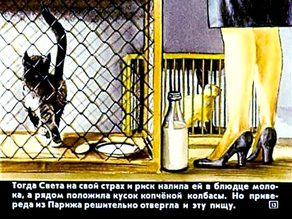 В.Злотников. Транзитная кошка
