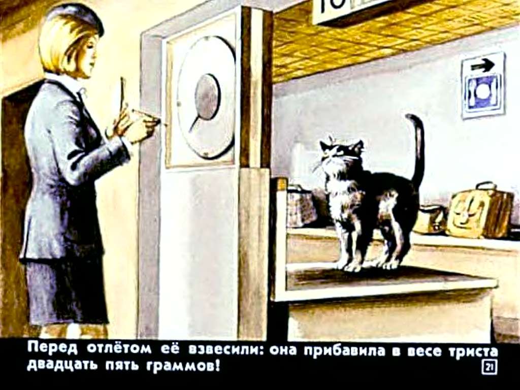 В.Злотников. Транзитная кошка