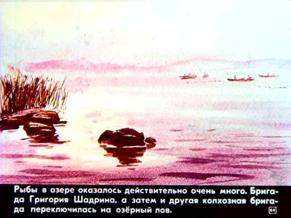 Какие рыбы есть в рассказе васюткино озеро. Иллюстрация к рассказу Васюткино озеро. Рисунок к рассказу Васюткино озеро. Рисунок по васюткиному озеру. Обложка книги Васюткино озеро нарисовать.