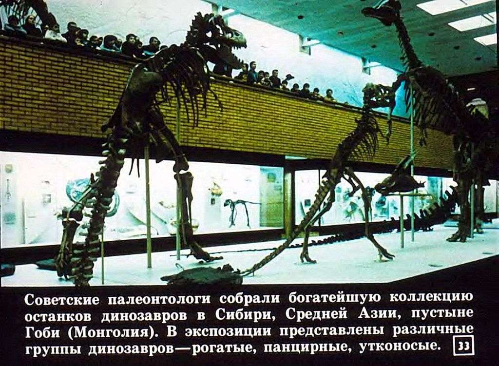 Встреча с динозавром