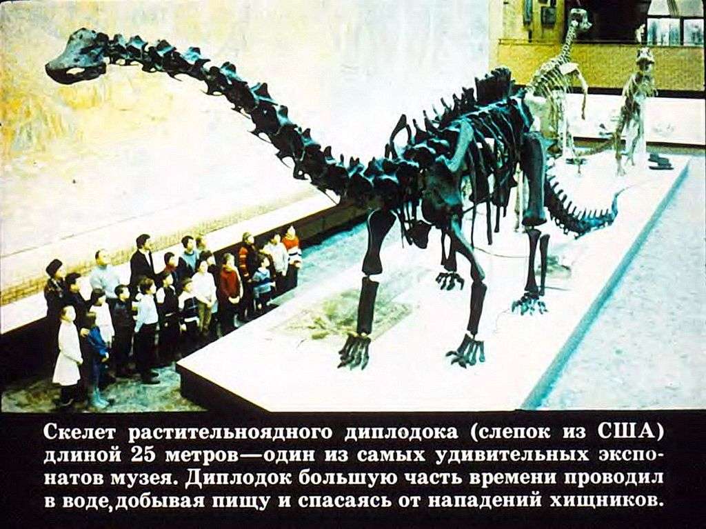 Встреча с динозавром