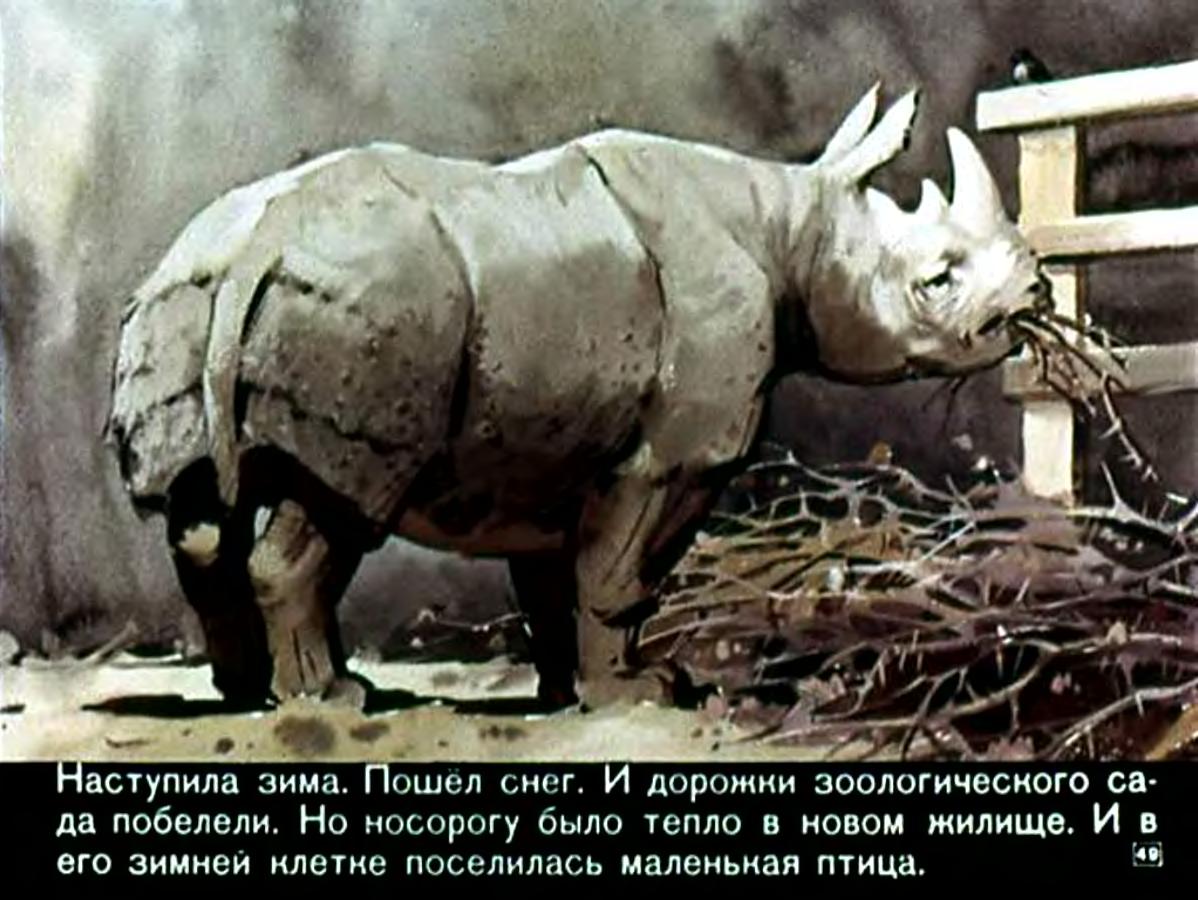 Ю.Яковлев. Я иду за носорогом