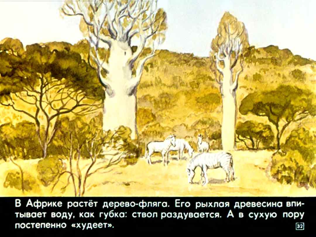Н.Осипов. Заколдованные деревья
