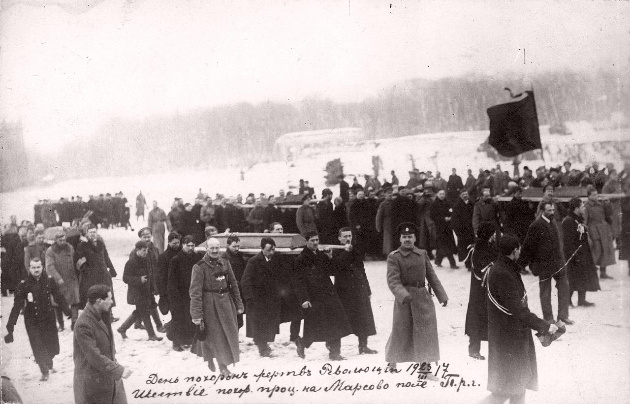 Петроград в дни революции (февраль-май 1917 г.)