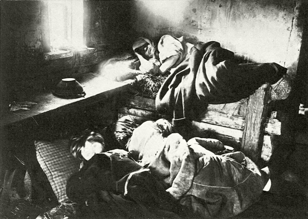 М. П. Дмитриев. Голодный год. 1891-1892 гг.