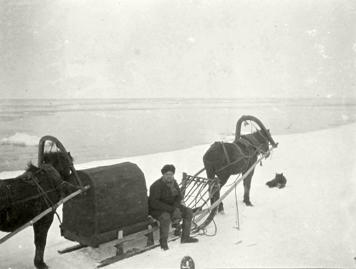 Николай Авенирович Шабунин. «Путешествие на север», 1906 г.