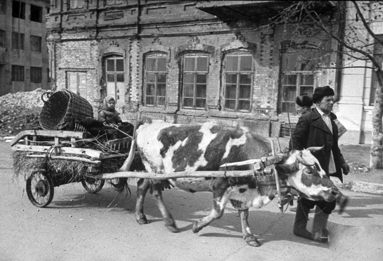 Сталинград. Апрель 1947