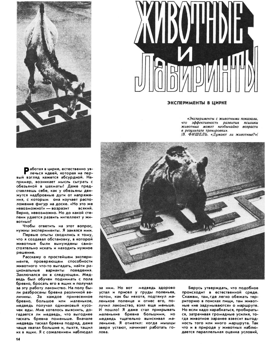 «Советская эстрада и цирк»